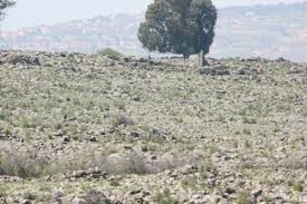  | موسوعة القرى الفلسطينية