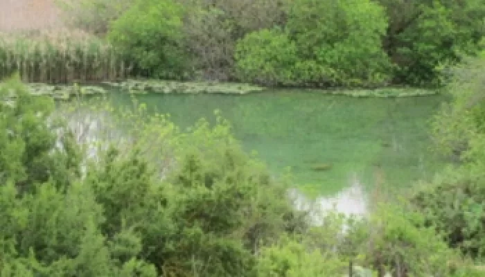 الشَوْكَة التَحْتا/ الشَوْقة التَحْتا  | موسوعة القرى الفلسطينية