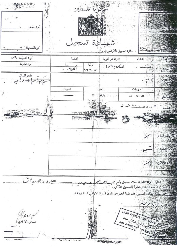 سند ملكية الأرض