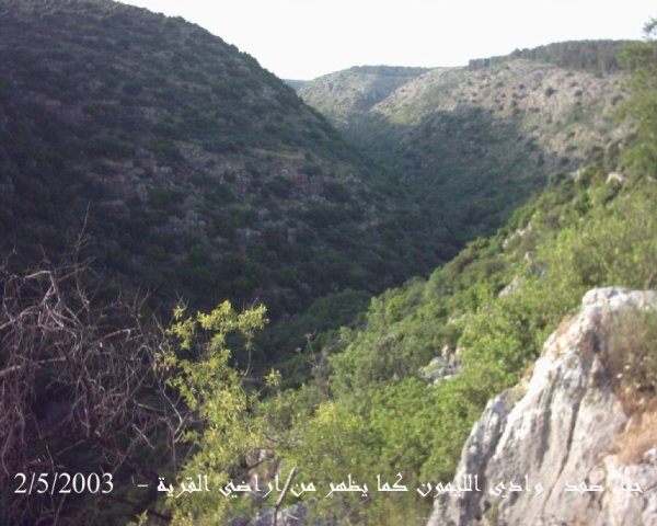 الظاهرية التحتا