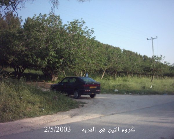 الظاهرية التحتا