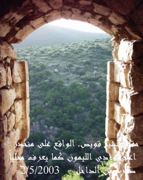 الظاهرية التحتا