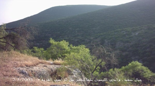 الظاهرية التحتا