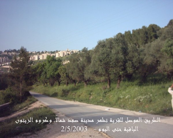 الظاهرية التحتا