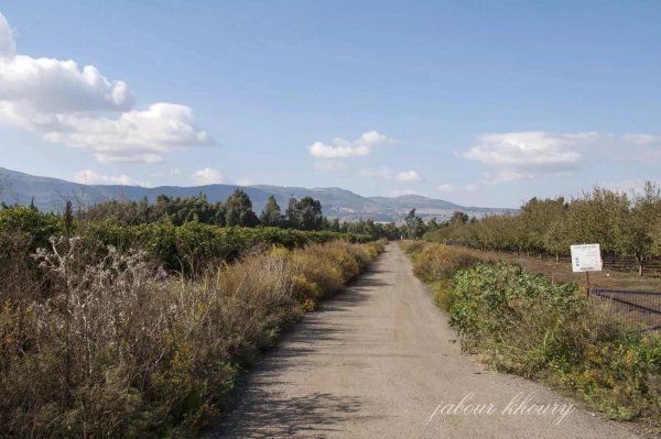  | موسوعة القرى الفلسطينية