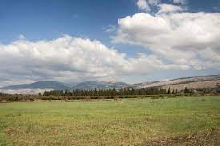 العَابِسِيَّة/ العَبْسِيَّة/ الغَابِسِيَّة/ خِيَامْ عَبْس  | موسوعة القرى الفلسطينية