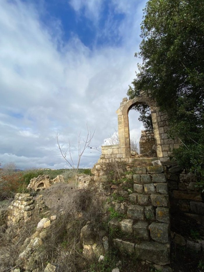 المَنْشيَّة/مَنْشيَّة صفد  | موسوعة القرى الفلسطينية