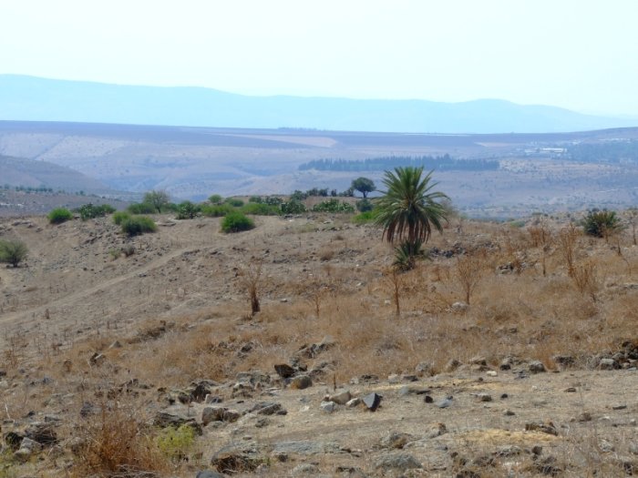 حدثا / الحدثة من قرى الهيجاء  | موسوعة القرى الفلسطينية