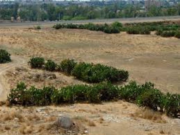 من أراضي عراق المنشية