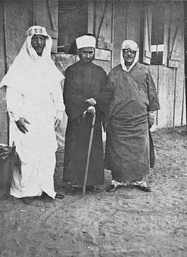 عوني عبد الهادي، صبري عابدين، عوات دروزة 1936