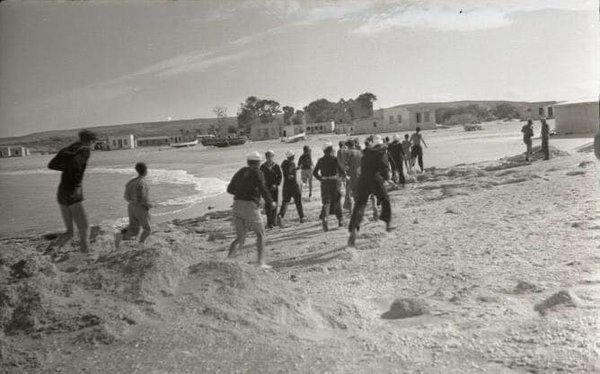 صرفند العمار