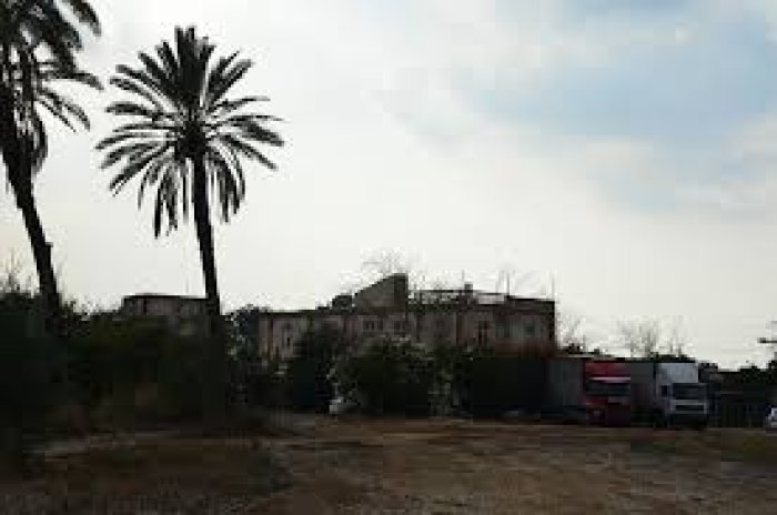 صَرَفَنْد العَمَار