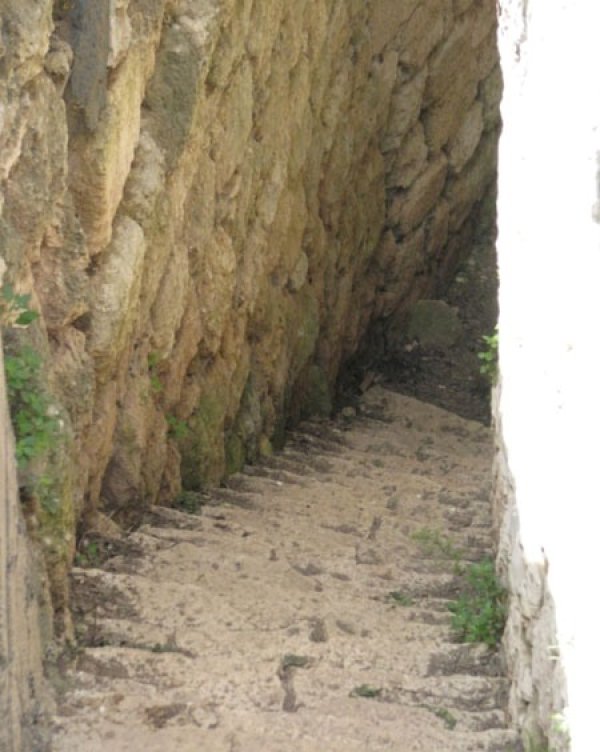 الدرج الموصل إلى عين قرية الشجرة
