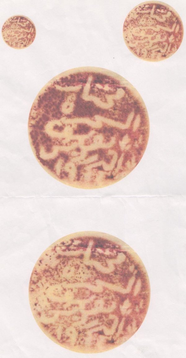 مختار قرية الشجرة