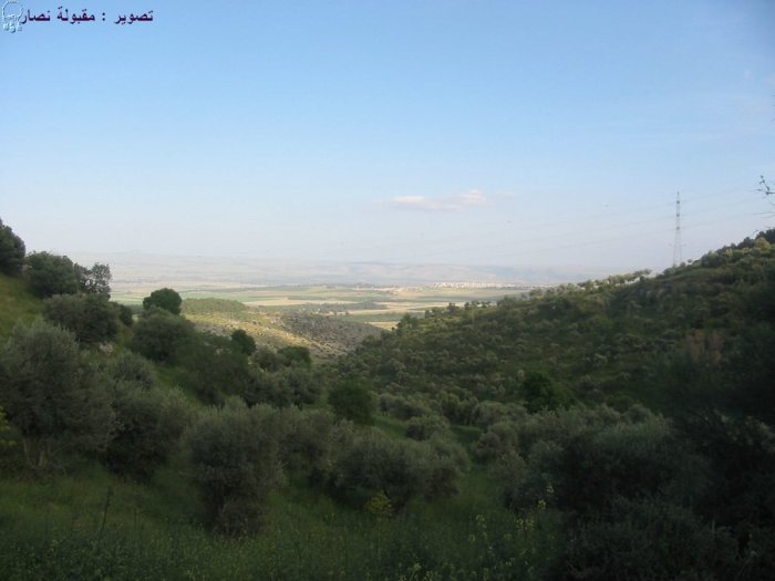 قبّاعَة  | موسوعة القرى الفلسطينية