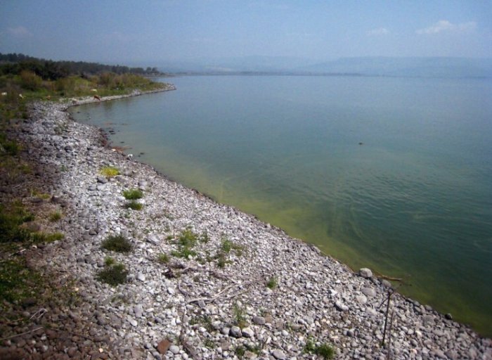 تلحوم / السمكية/ عرب السمكية  | موسوعة القرى الفلسطينية