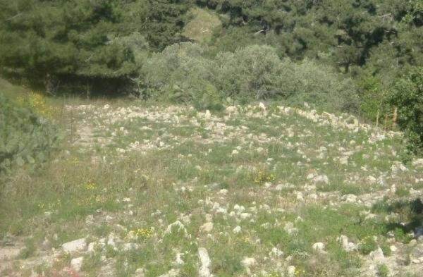  | موسوعة القرى الفلسطينية