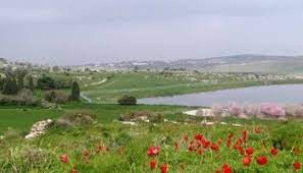 قرية البطاني الشرقي