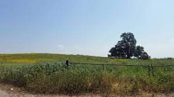 قرية البطاني الغربي المدمرة