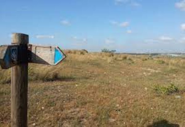 قرية البطاني الغربي المدمرة