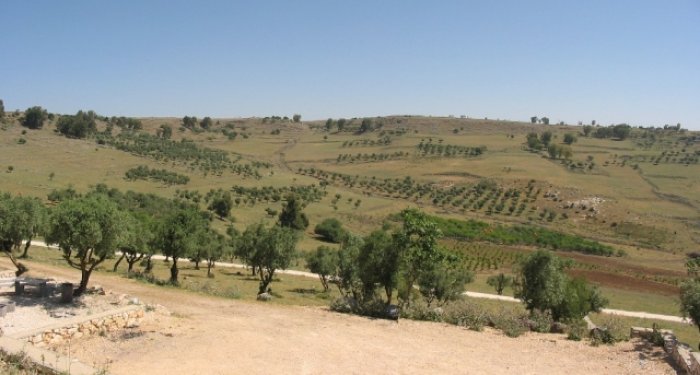 قَدَّيتا  | موسوعة القرى الفلسطينية