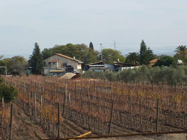  | موسوعة القرى الفلسطينية