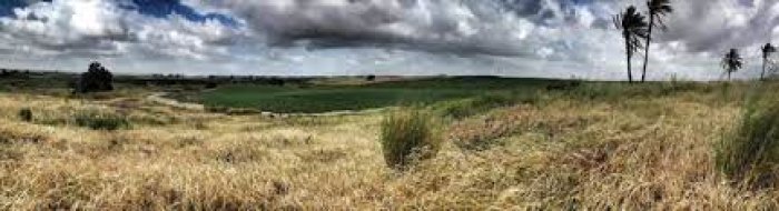 الجَلَدِيّة  | موسوعة القرى الفلسطينية