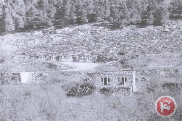 قرية الجورة