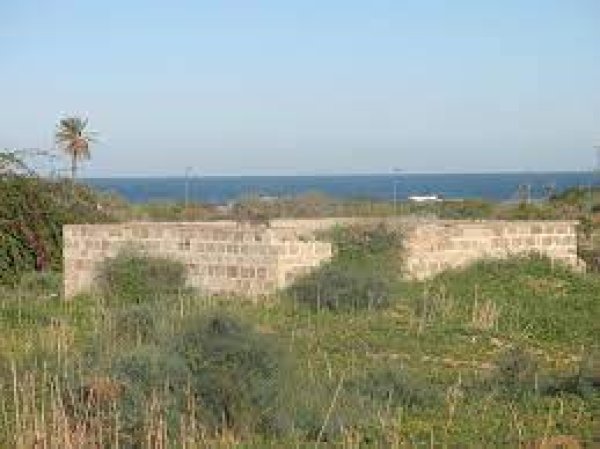 بركة تجميع المياه في قرية الجورة