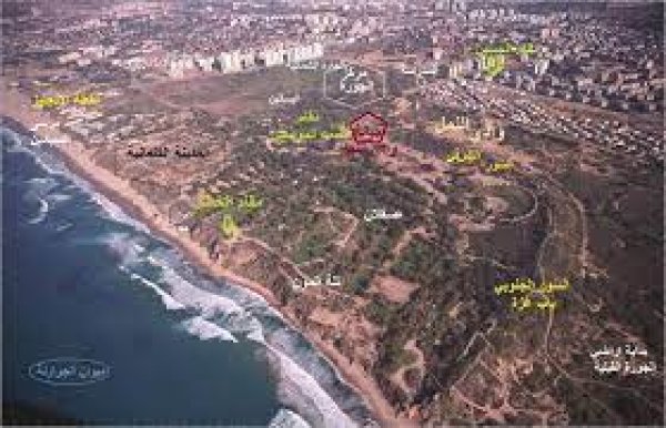 خريطة الجورة