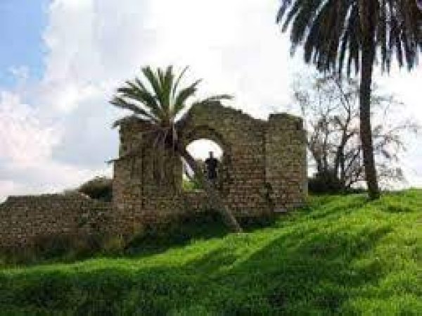  | موسوعة القرى الفلسطينية