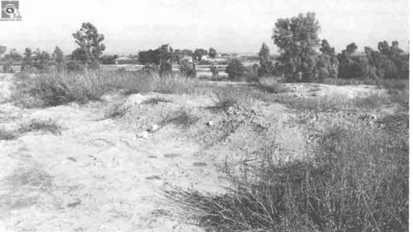 قرية السوافير الشمالية