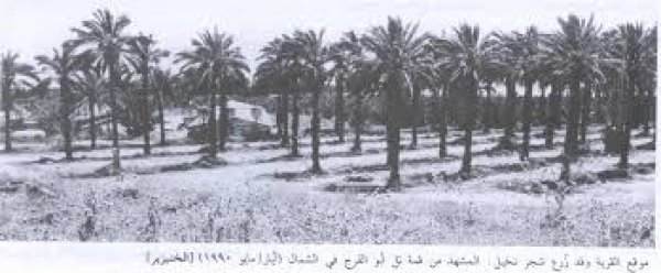 قرية السوافير الشمالية