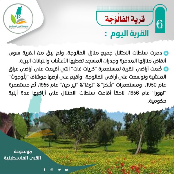 الفالوجة اليوم