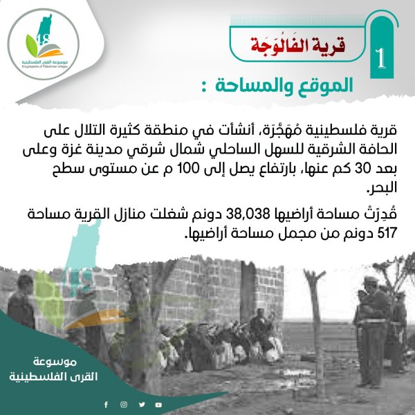 موقع ومساحة الفالوجة