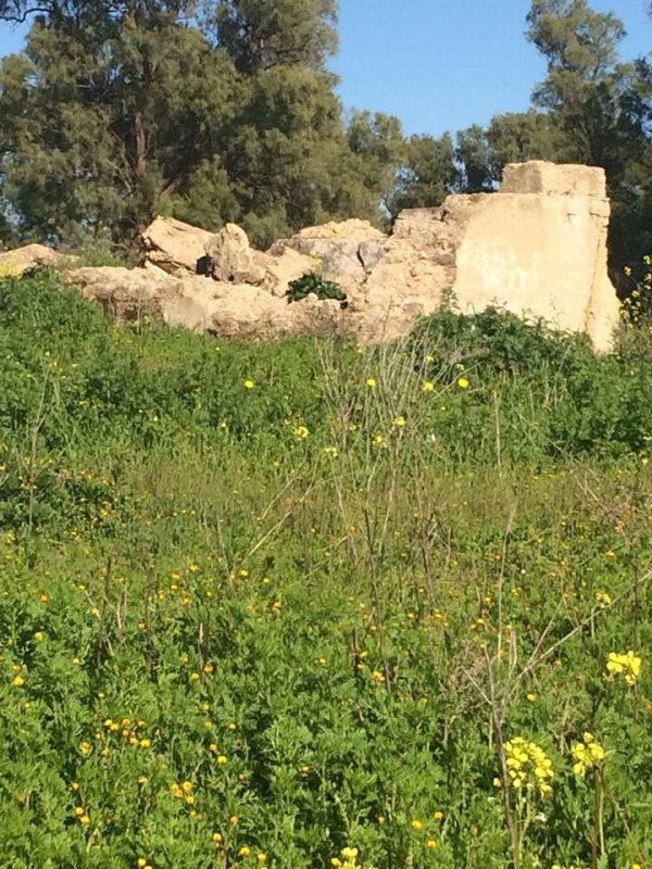  | موسوعة القرى الفلسطينية