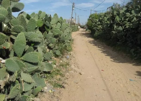  | موسوعة القرى الفلسطينية