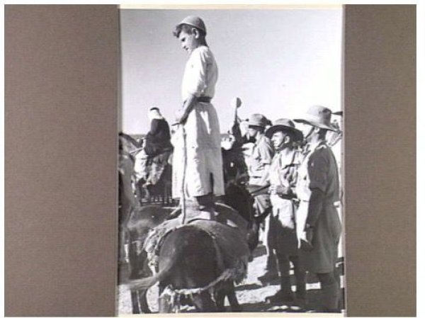  | موسوعة القرى الفلسطينية