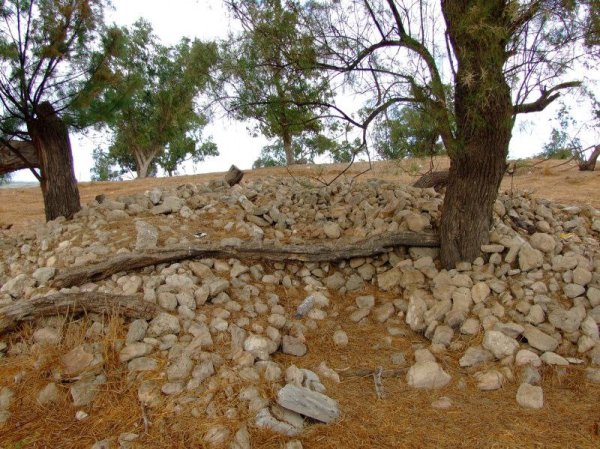  | موسوعة القرى الفلسطينية