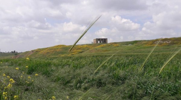  | موسوعة القرى الفلسطينية