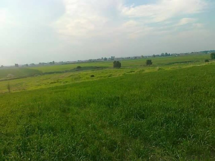 جُسْيَرْ  | موسوعة القرى الفلسطينية