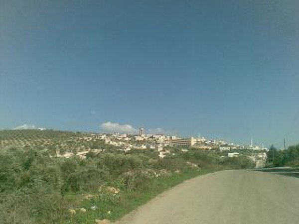  | موسوعة القرى الفلسطينية