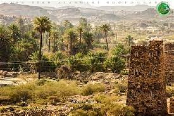  | موسوعة القرى الفلسطينية