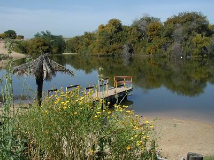 حَمَامَة  | موسوعة القرى الفلسطينية