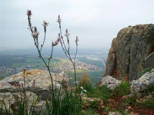  | موسوعة القرى الفلسطينية