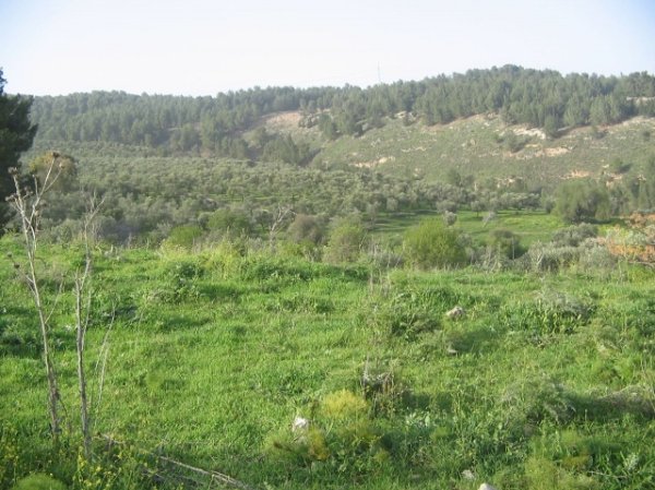  | موسوعة القرى الفلسطينية