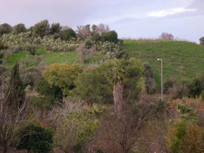 أبو شُوْشَة/ قرى الروحة  | موسوعة القرى الفلسطينية
