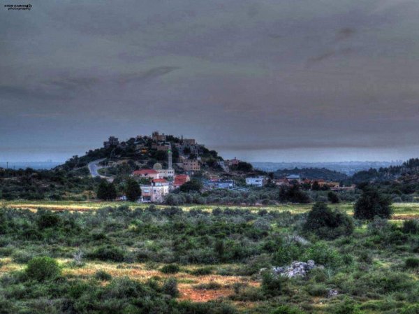 قرية أم القطف