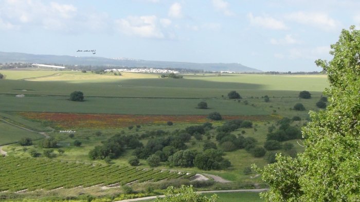 خبيزة / قرى الروحة  | موسوعة القرى الفلسطينية