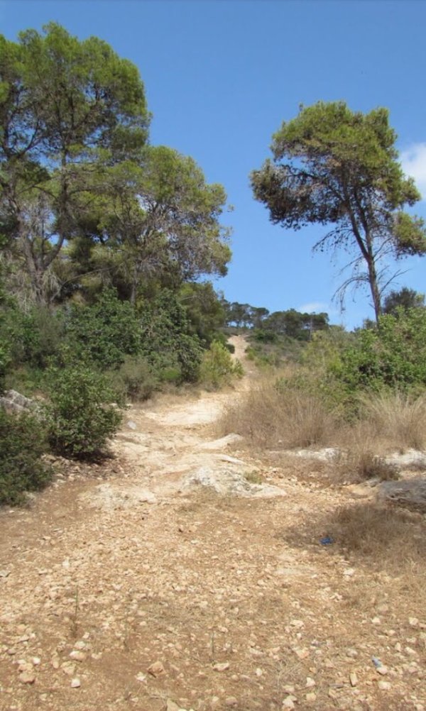  | موسوعة القرى الفلسطينية